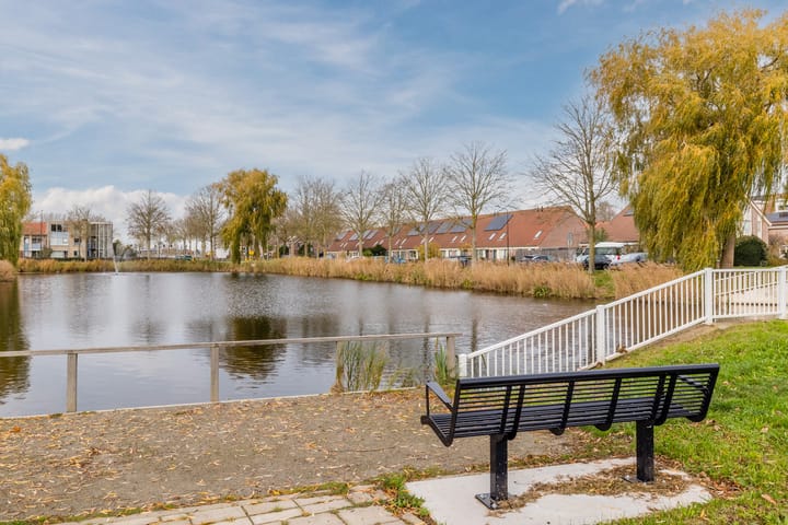 Photo 53 of Gele Varaan 54