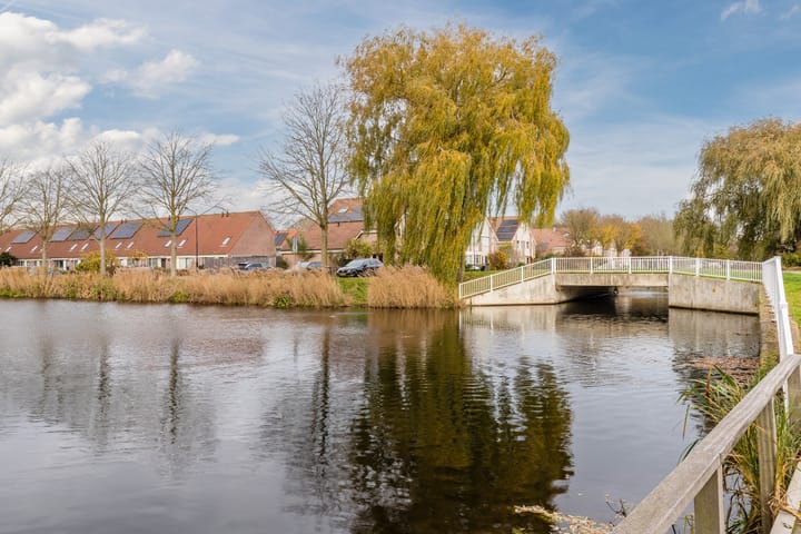 Photo 54 of Gele Varaan 54