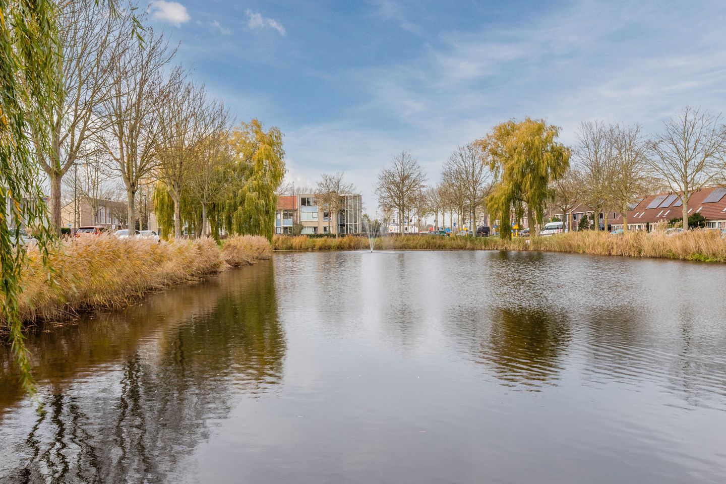 Foto 55 van Gele Varaan 54