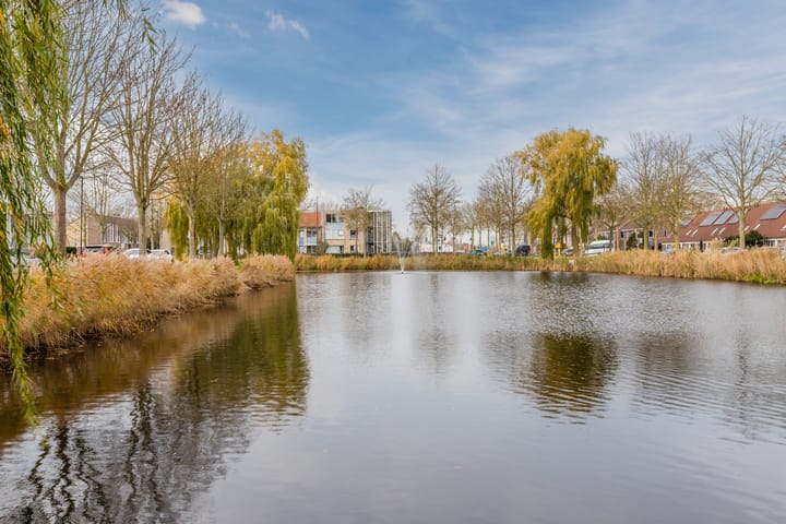 Photo 55 of Gele Varaan 54