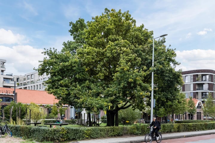 Foto 30 van Cruquiusweg 79-D5