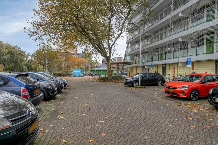 Photo 28 of Zalkerbos 80