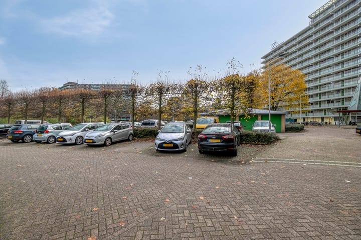 Photo 29 of Zalkerbos 80