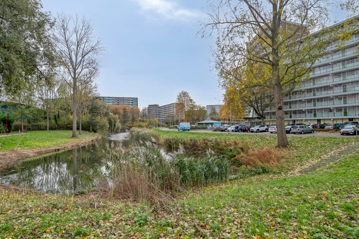 Photo 32 of Zalkerbos 80