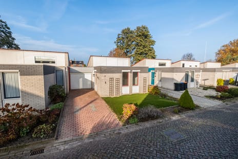 undefined main image