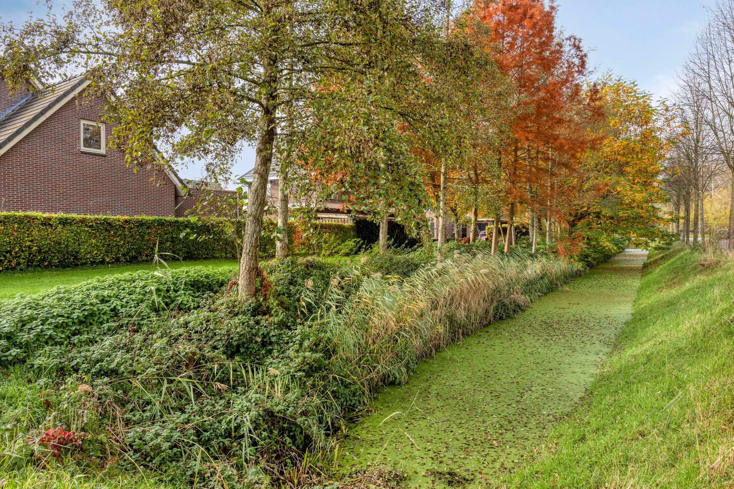 Foto 34 van Goudvink 14