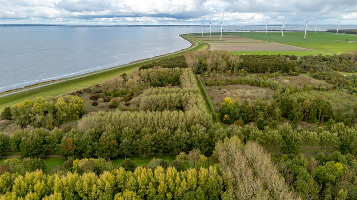 Photo 50 of Robert Pearystraat 20