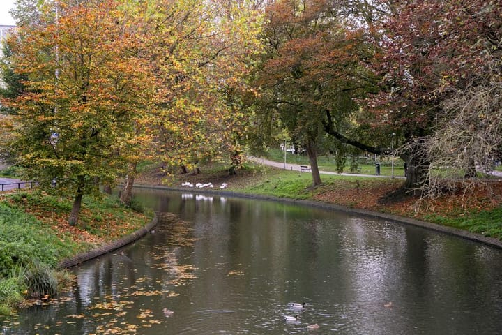 Photo 65 of Biltstraat 108