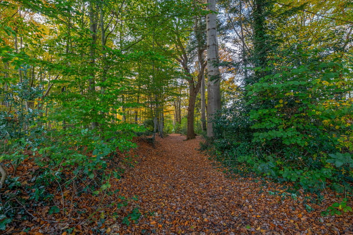 Photo 60 of Dikkesteenweg 30