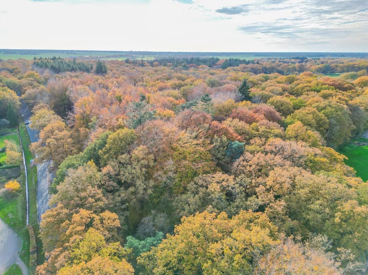 Photo 61 of Dikkesteenweg 30