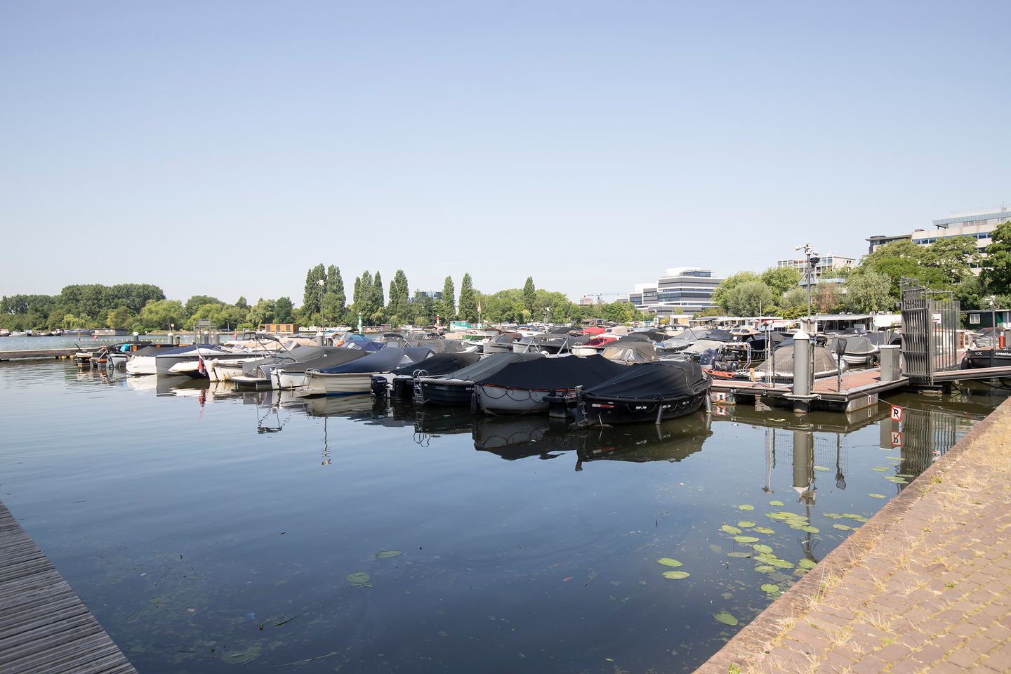 Foto 4 van Solitudolaan 412-B