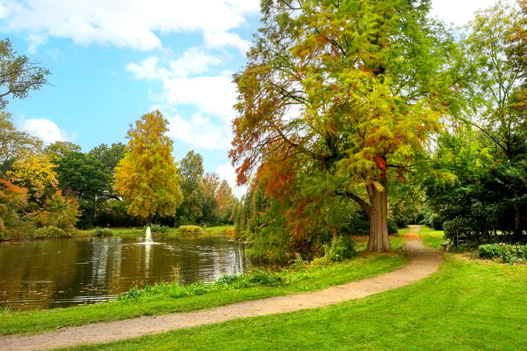 Foto 31 van Dorpsstraat vo Steenstraat 73