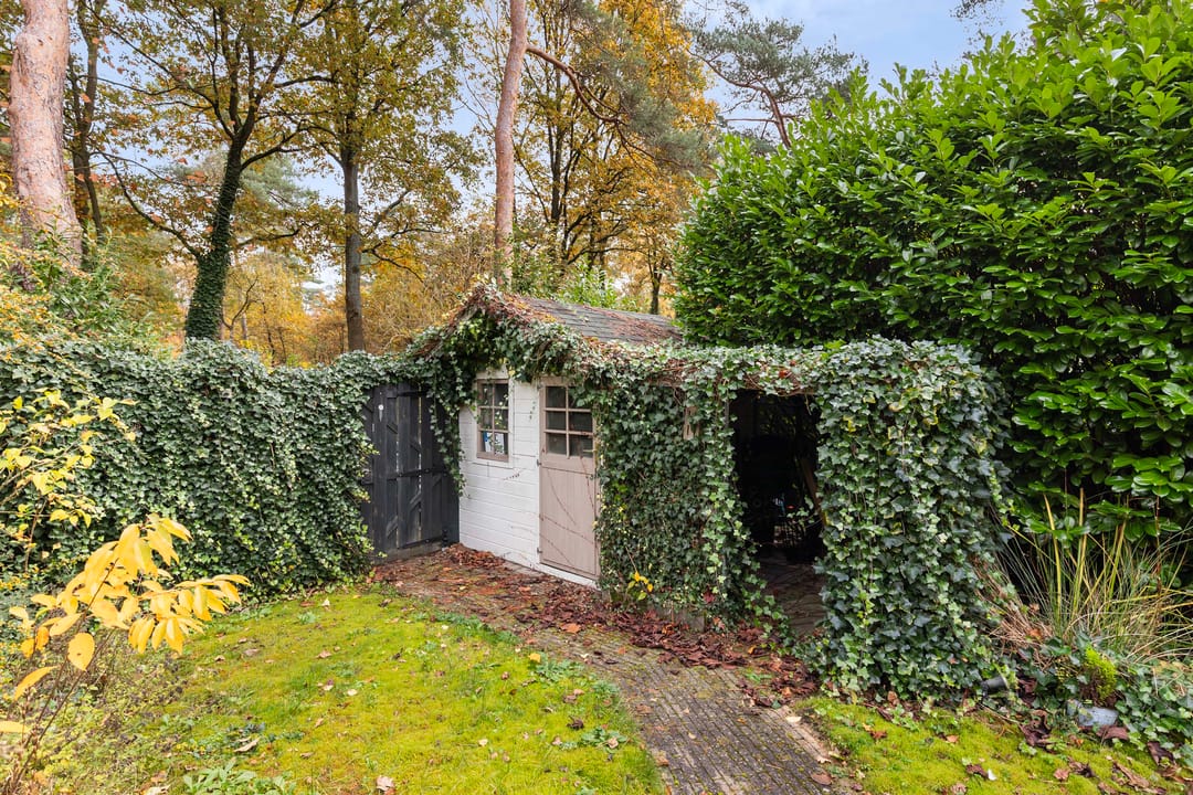 Foto 37 van Lage Bergweg 31-C6