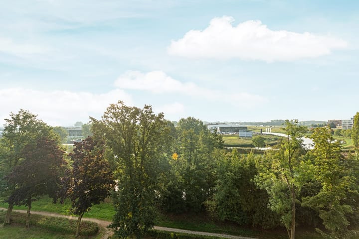 Photo 5 of Aalscholversingel 600