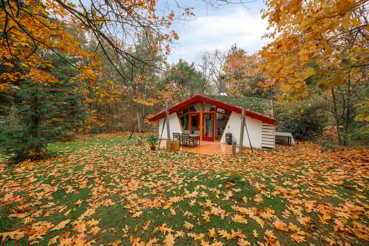 Foto 2 van Bosvilla 66 l Herperduin