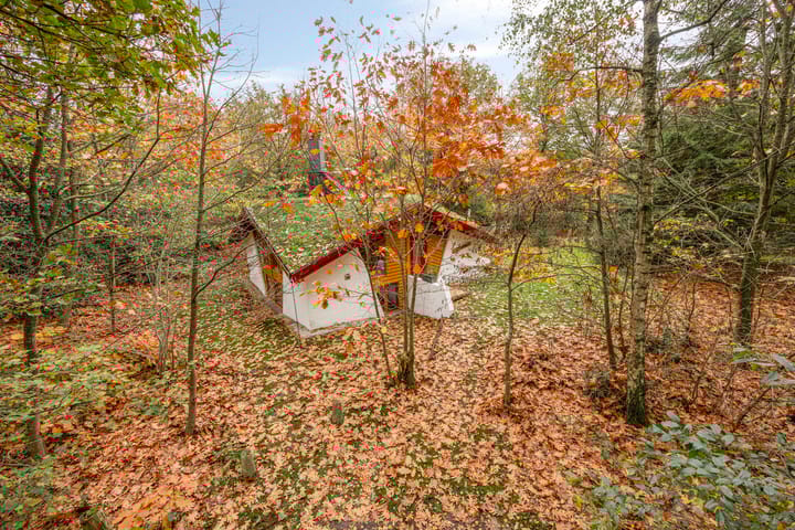 Foto 27 van Bosvilla 66 l Herperduin