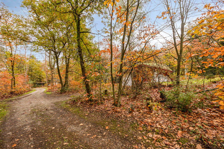 Foto 28 van Bosvilla 66 l Herperduin