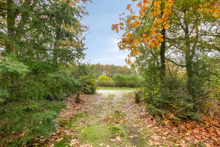 Foto 29 van Bosvilla 66 l Herperduin