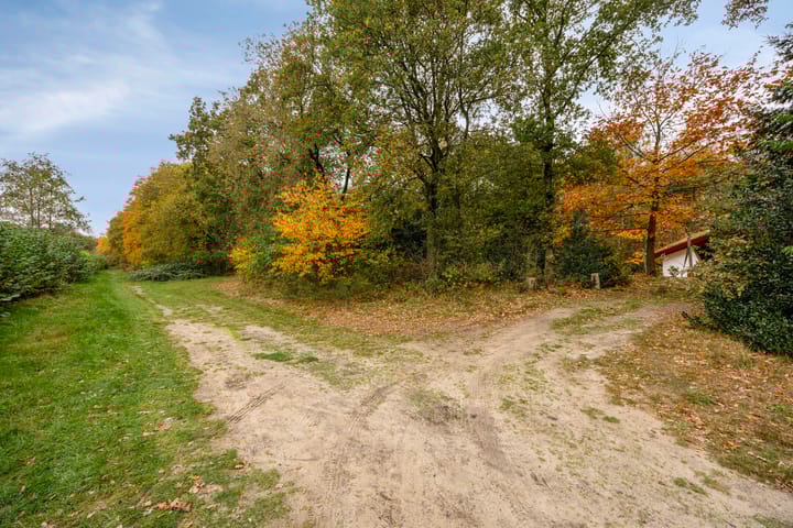 Foto 30 van Bosvilla 66 l Herperduin