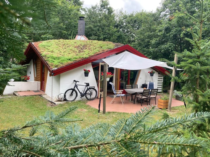 Foto 32 van Bosvilla 66 l Herperduin