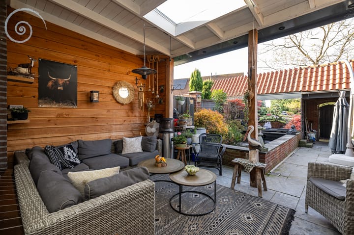 Foto 2 van de Windhond 12