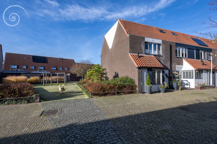 Foto 5 van de Windhond 12