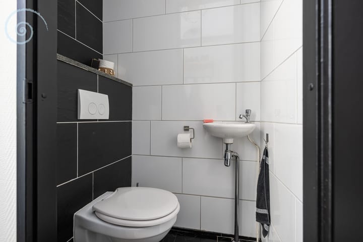 Foto 8 van de Windhond 12