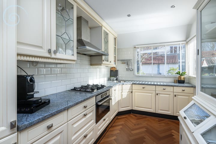 Foto 9 van de Windhond 12