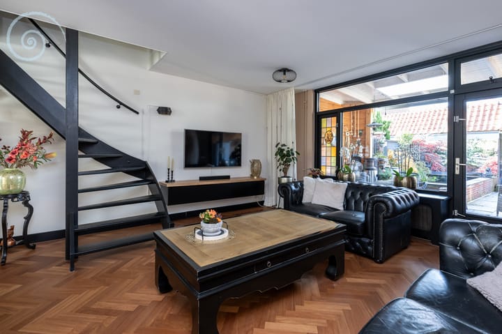 Foto 14 van de Windhond 12