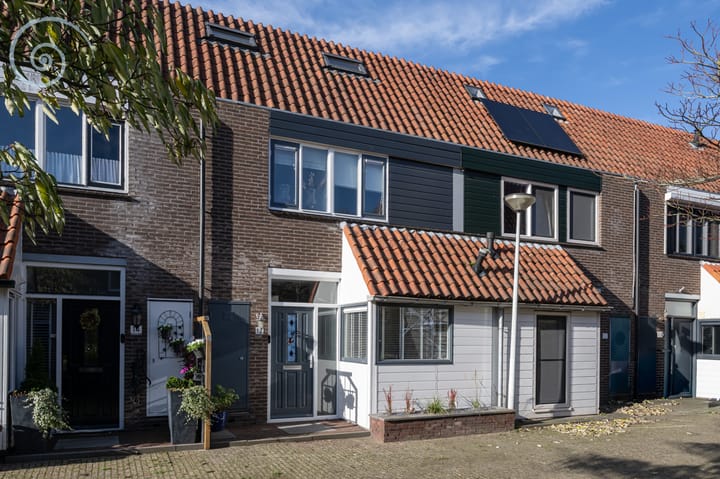 Foto 6 van de Windhond 12