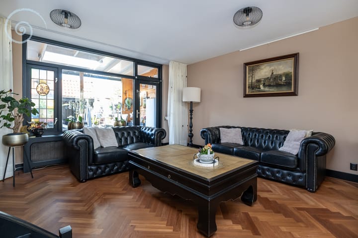 Foto 15 van de Windhond 12