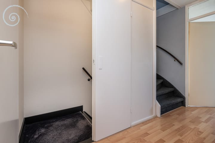 Foto 16 van de Windhond 12