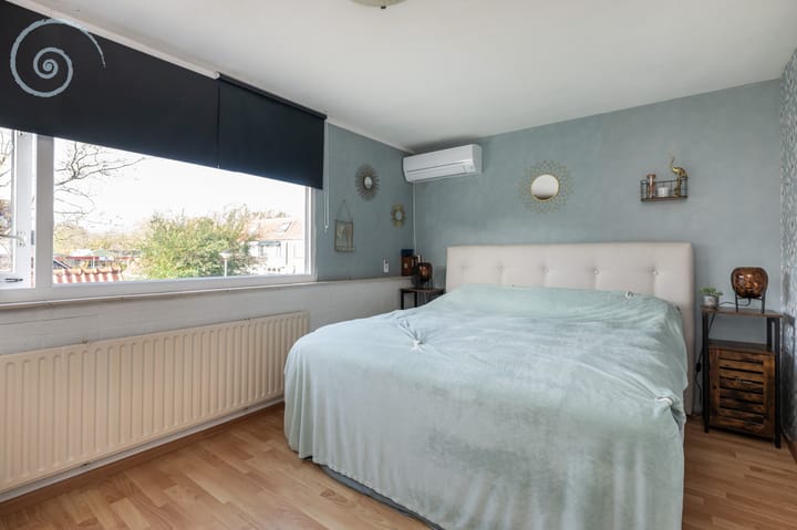 Foto 17 van de Windhond 12