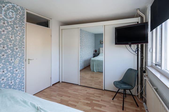 Foto 18 van de Windhond 12