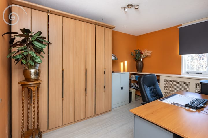 Foto 19 van de Windhond 12