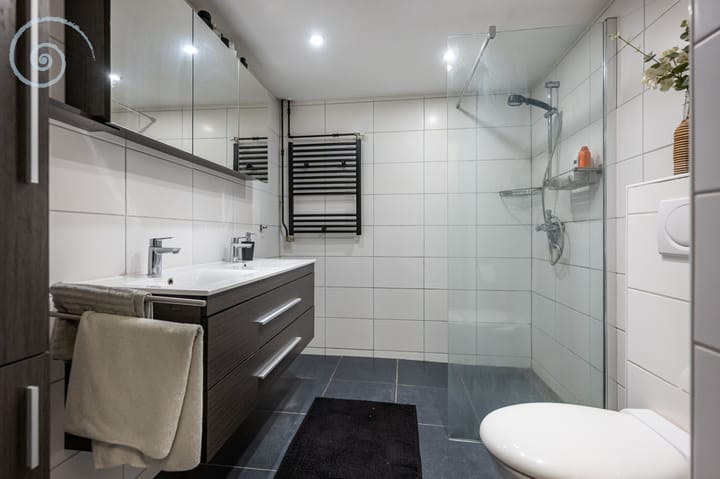 Foto 21 van de Windhond 12