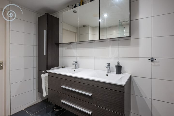 Foto 22 van de Windhond 12