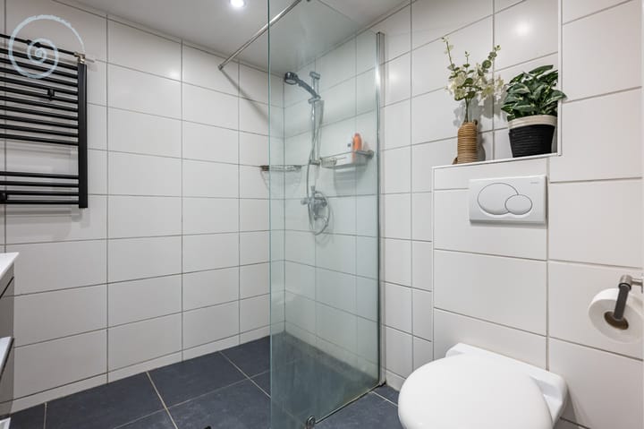 Foto 23 van de Windhond 12