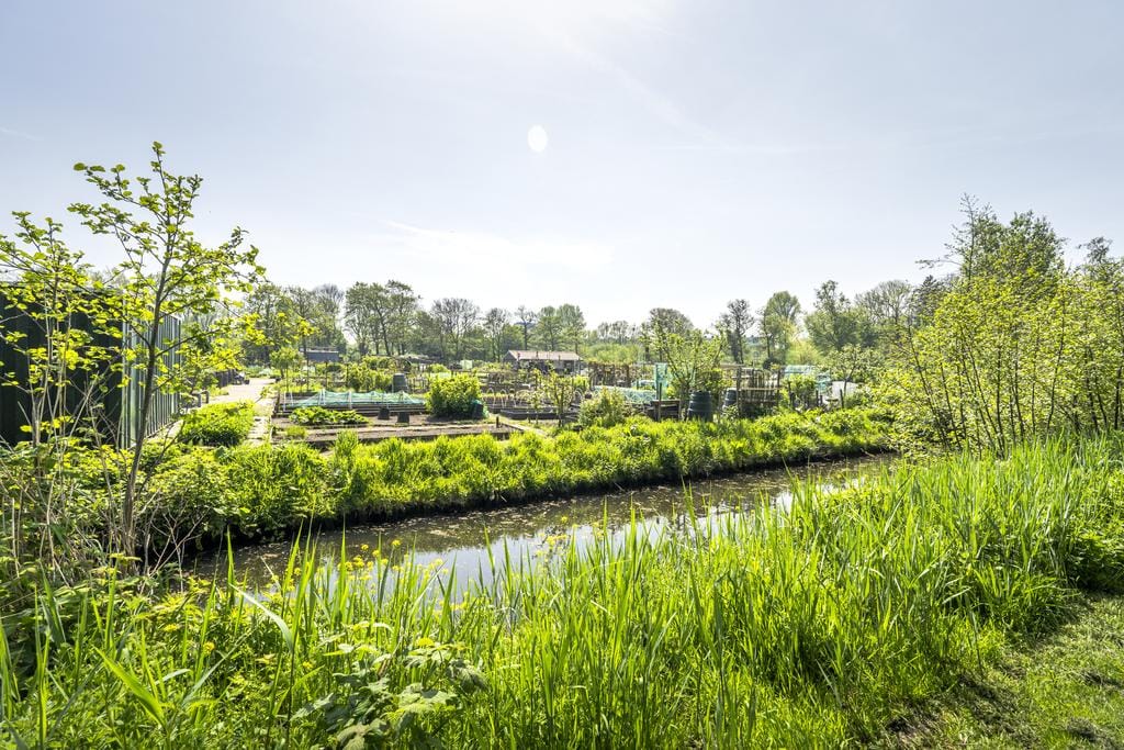 Foto 29 van Vergierdeweg 207