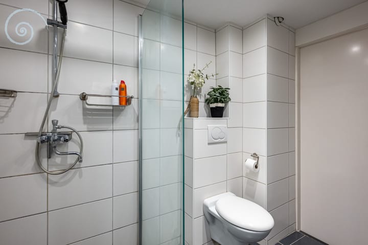 Foto 24 van de Windhond 12