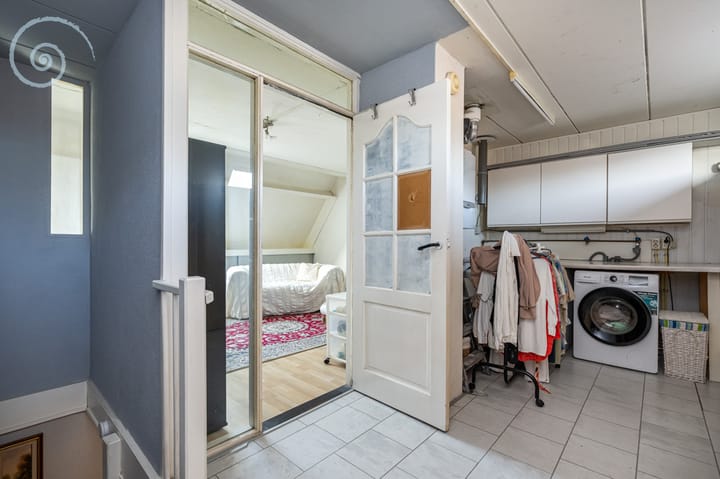 Foto 25 van de Windhond 12