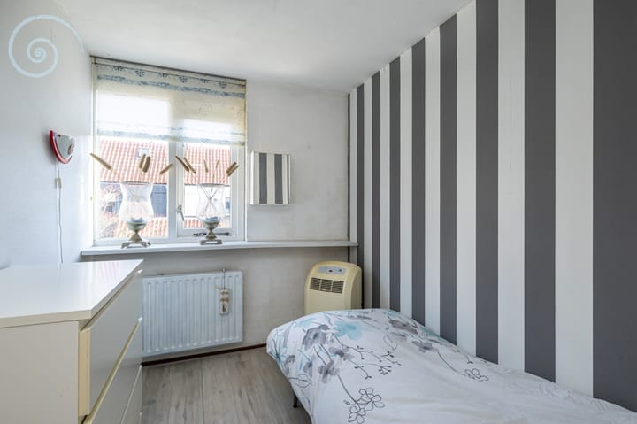 Foto 20 van de Windhond 12