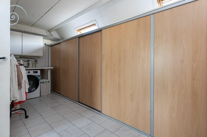 Foto 26 van de Windhond 12