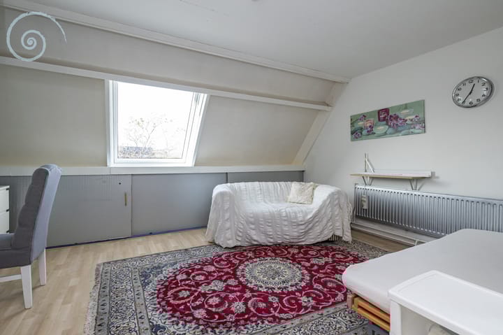 Foto 27 van de Windhond 12