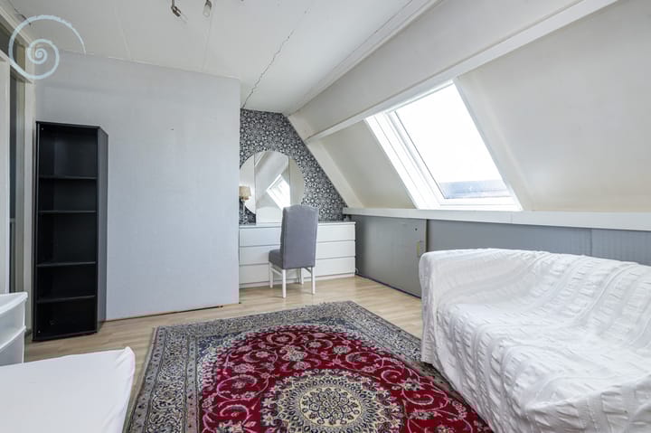 Foto 28 van de Windhond 12