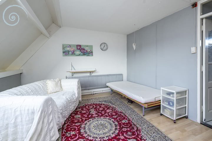 Foto 29 van de Windhond 12