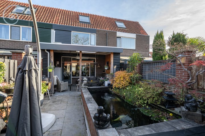 Foto 30 van de Windhond 12