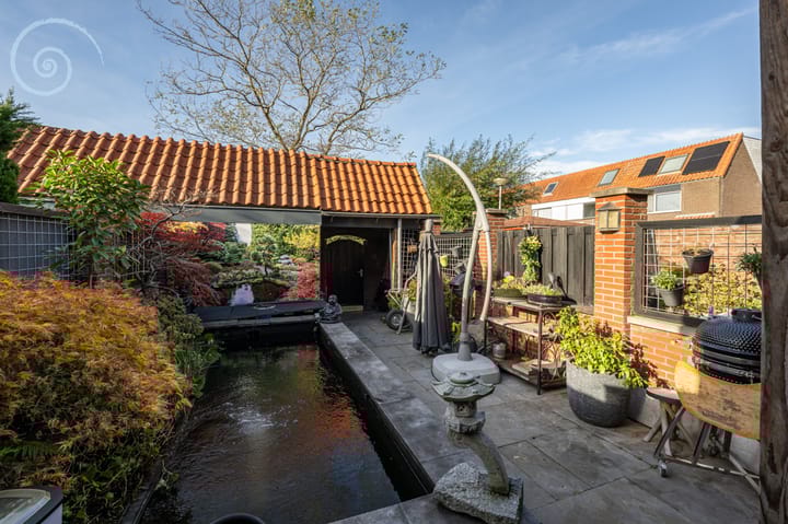 Foto 31 van de Windhond 12