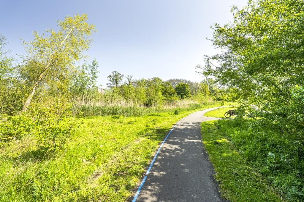 Foto 27 van Vergierdeweg 207