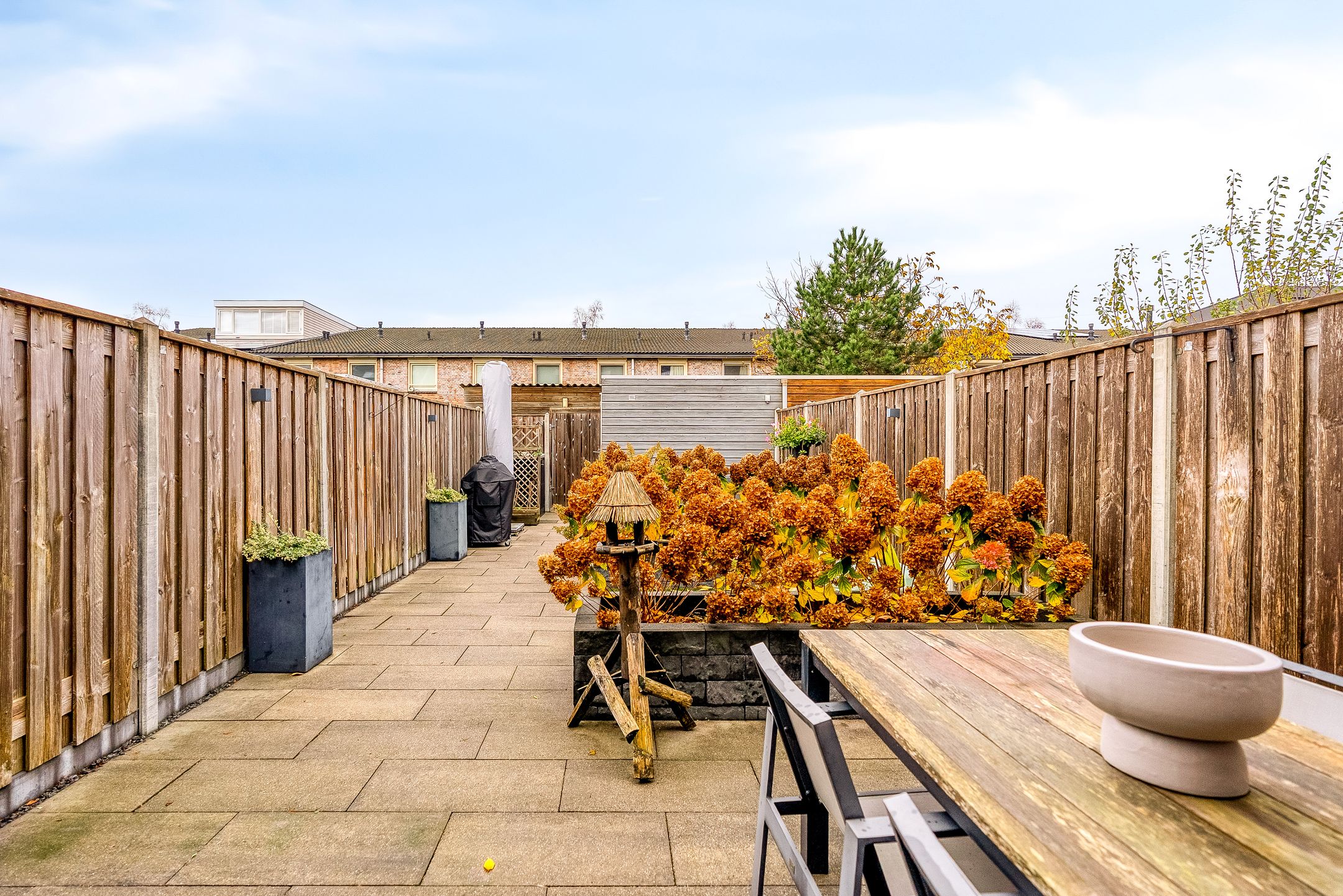 Foto 9 van Salvador Daliplantsoen 27